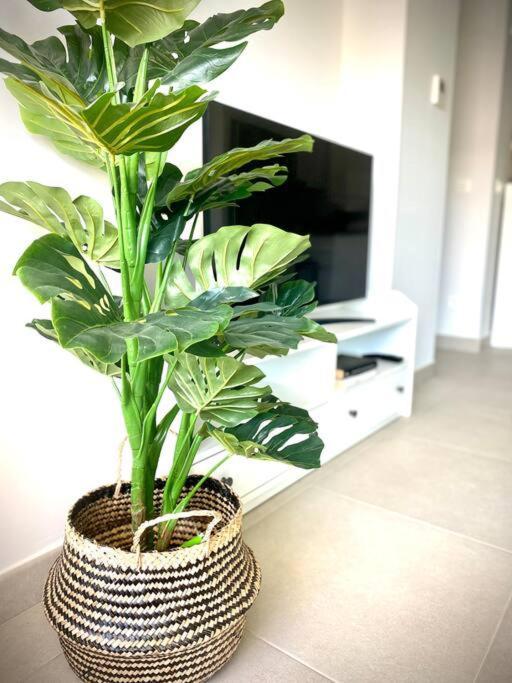 Mychoice Diana Apartment Rota Ngoại thất bức ảnh